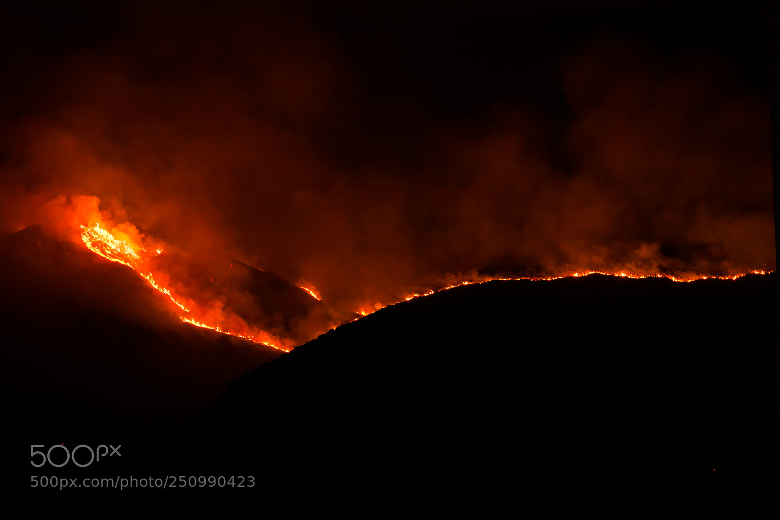 Sony a7R III sample photo. Wildfire photography