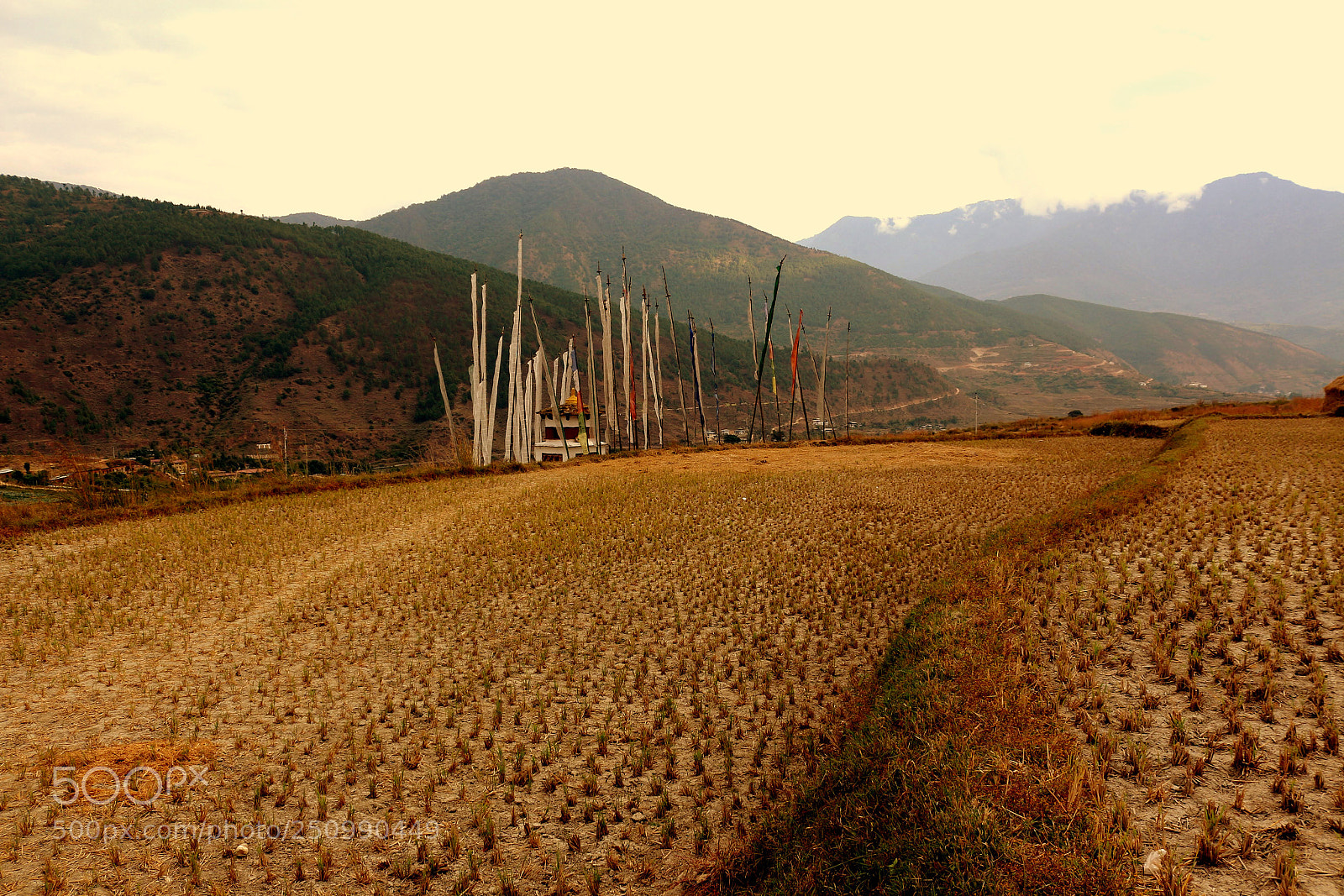 Canon EOS 650D (EOS Rebel T4i / EOS Kiss X6i) sample photo. Golden valley... photography