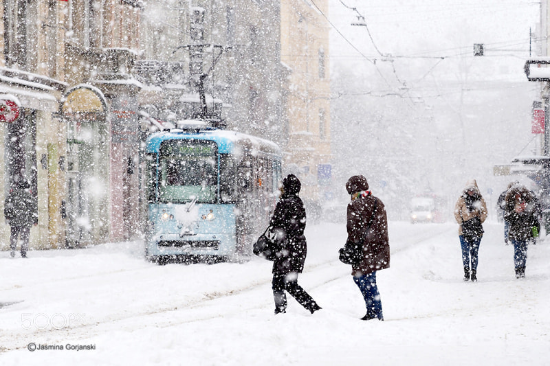 Olympus OM-D E-M1 Mark II sample photo. Blizzard in in the photography