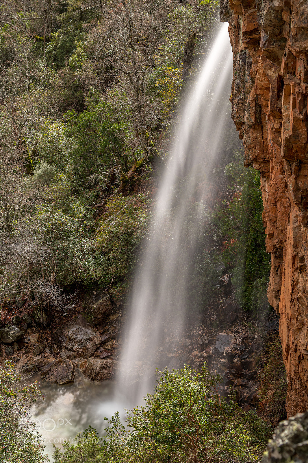 Nikon D850 sample photo. El chorro photography