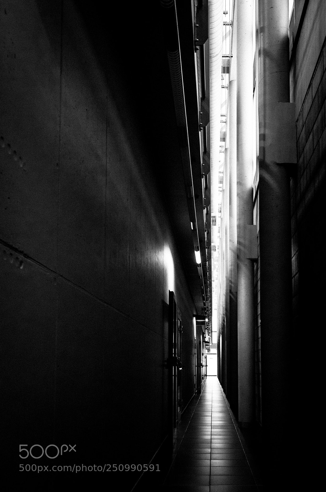 Nikon D300 sample photo. Gap photography