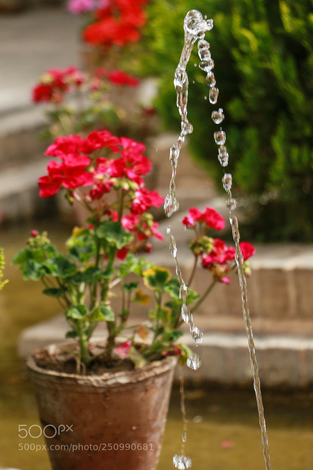 Canon EOS 70D sample photo. Iranian traditional life style photography
