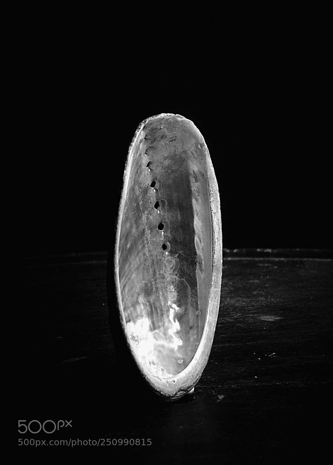 Canon EOS 80D sample photo. Inspired by edward weston photography