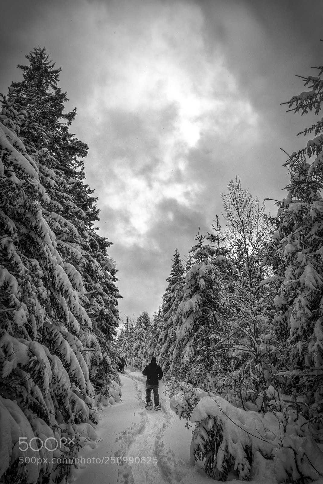 Panasonic Lumix DMC-LX100 sample photo. Unpredictable winter photography