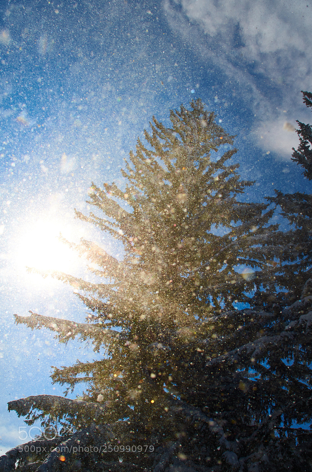 Nikon D7000 sample photo. Spring hope photography