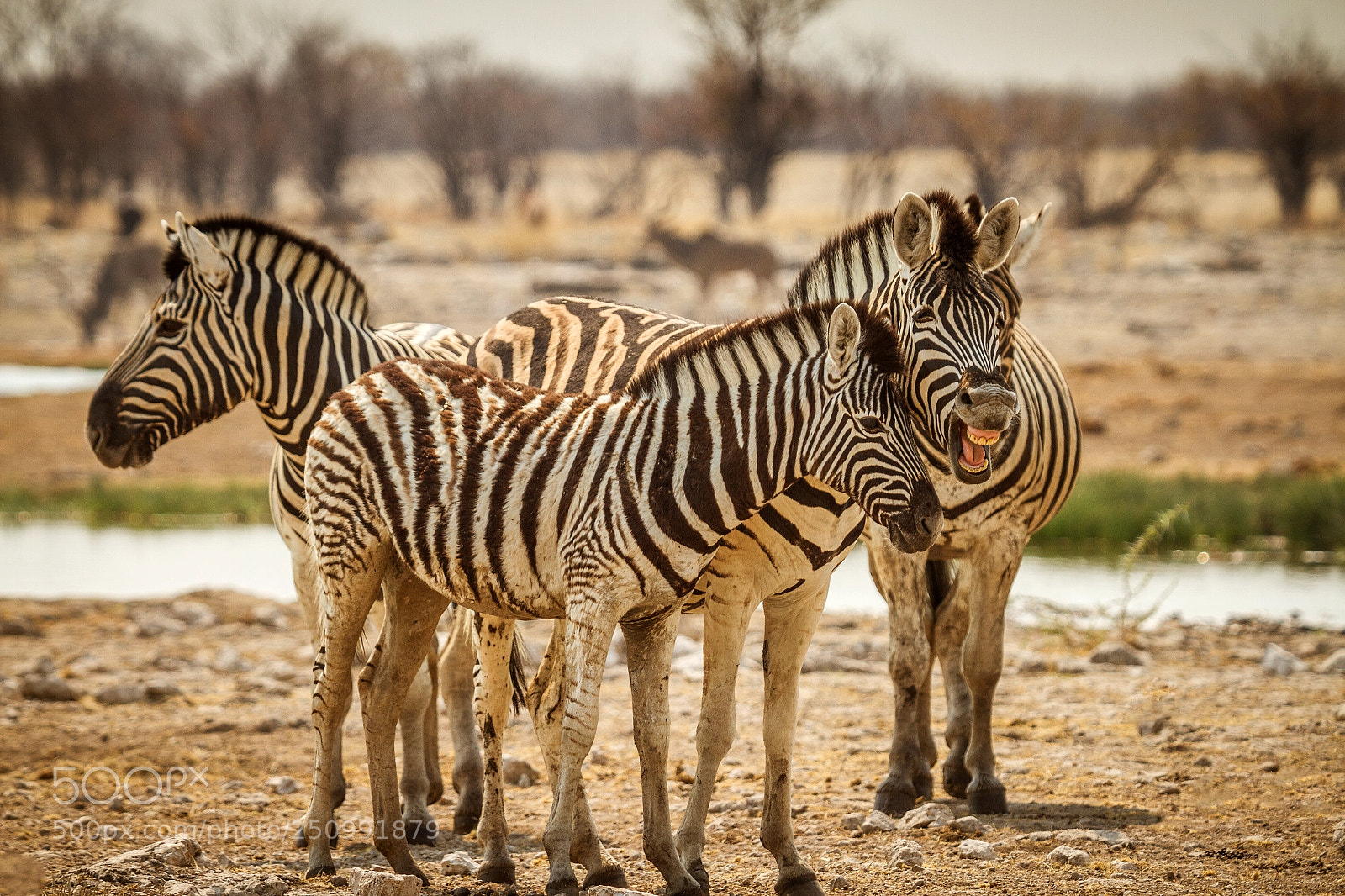 Canon EOS 7D sample photo. Herman van zyl photography