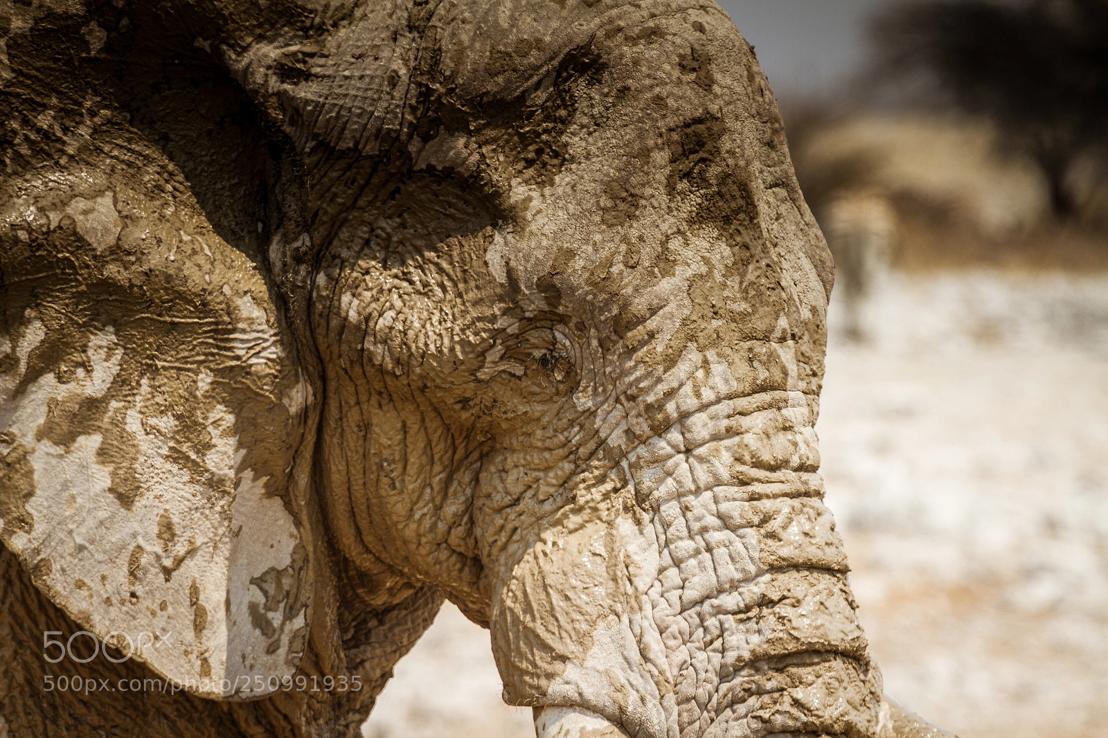 Canon EOS 7D sample photo. Herman van zyl photography