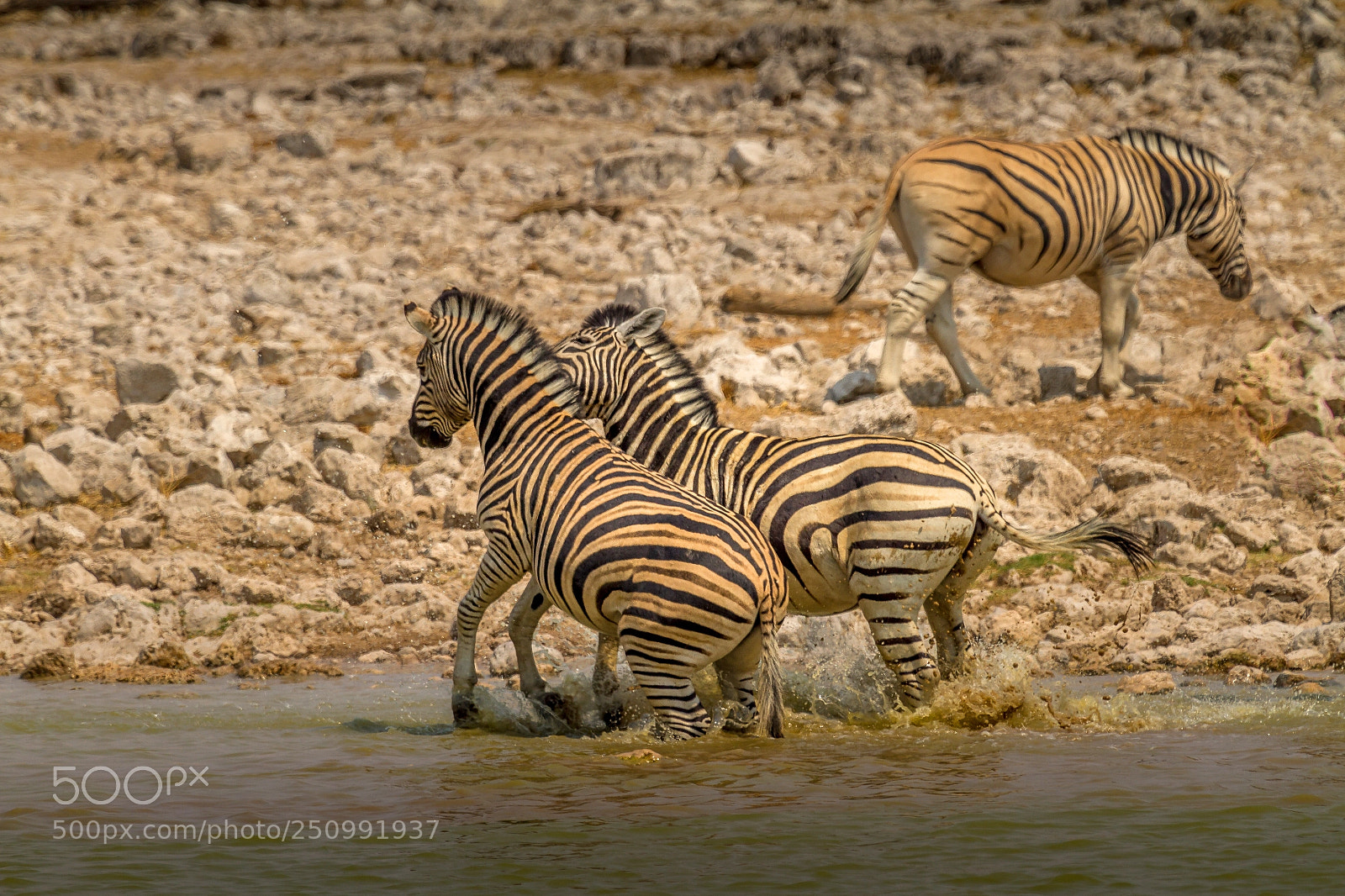 Canon EOS 7D sample photo. Herman van zyl photography