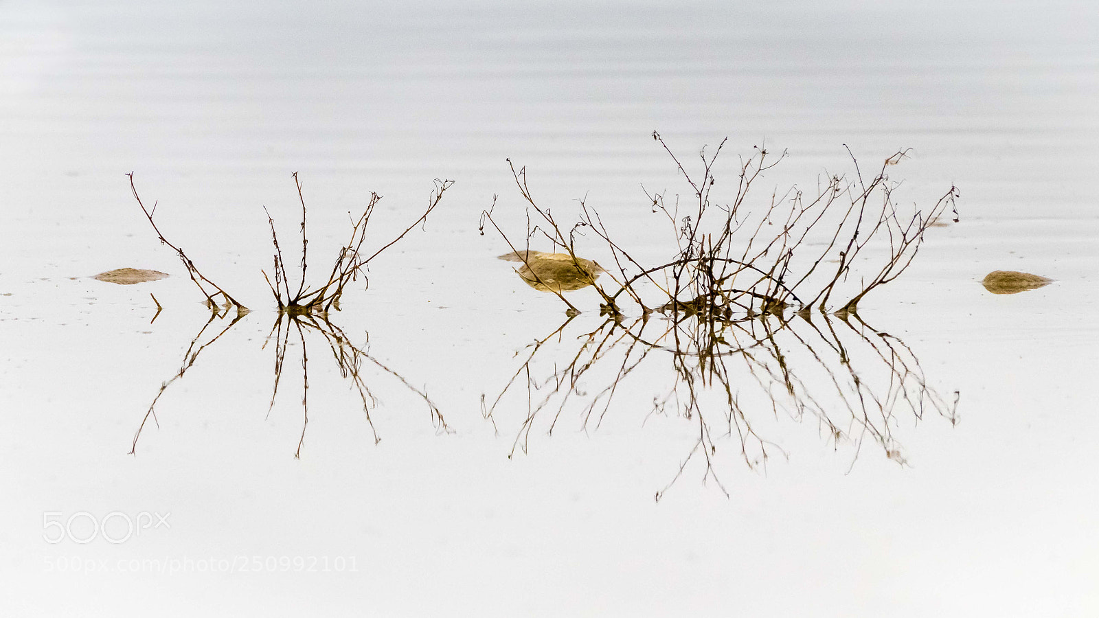 Canon EOS 80D sample photo. Reflets photography