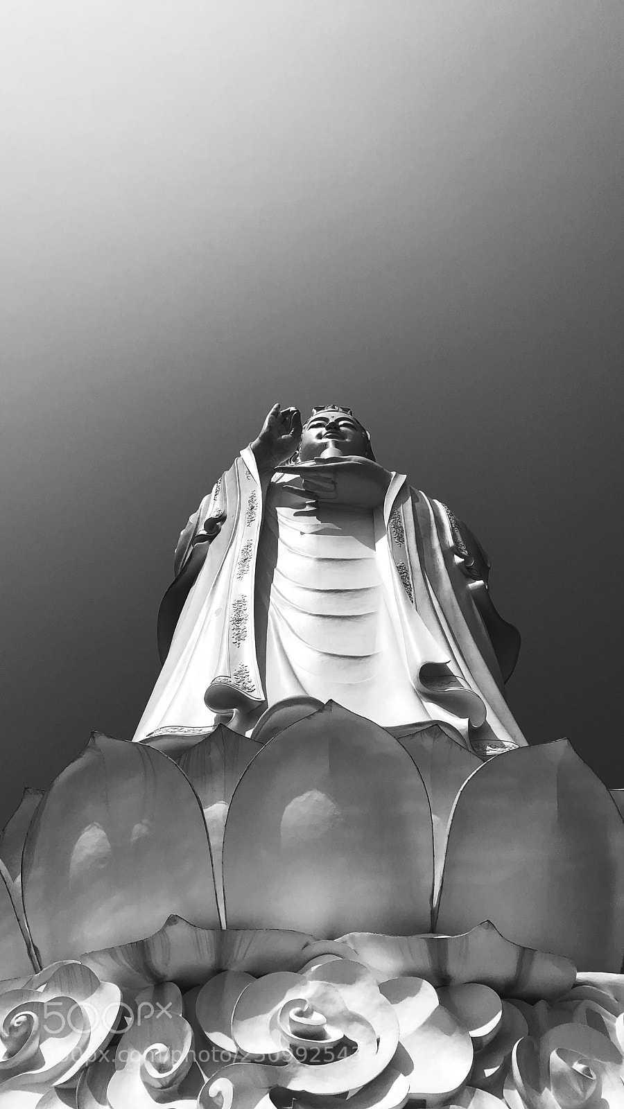 Apple iPhone X sample photo. Untitled photography