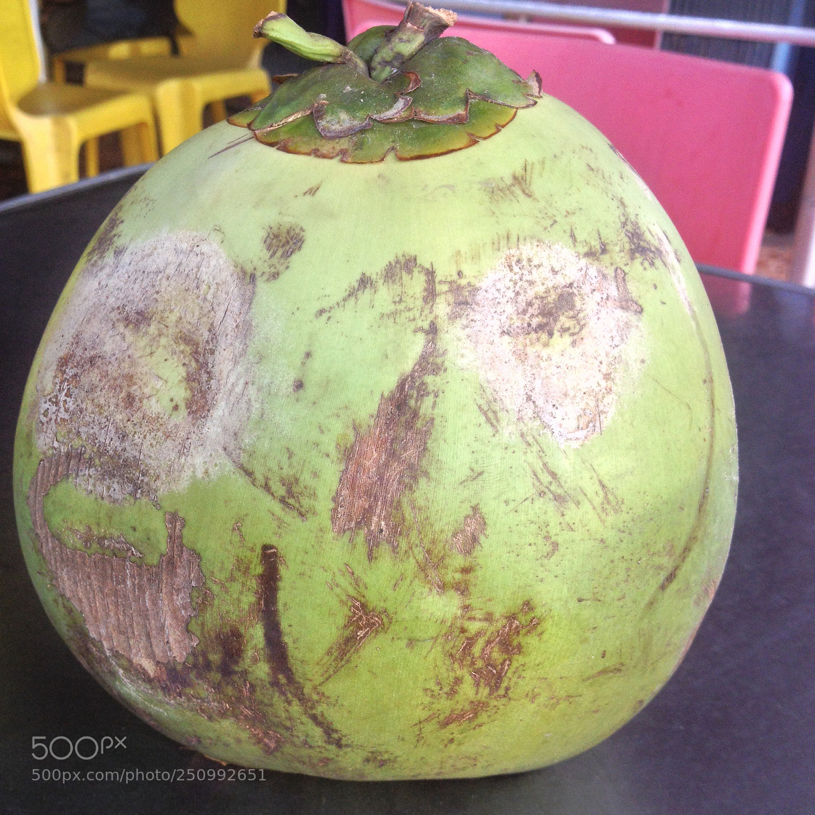 Apple iPhone 4S sample photo. Coconut photography