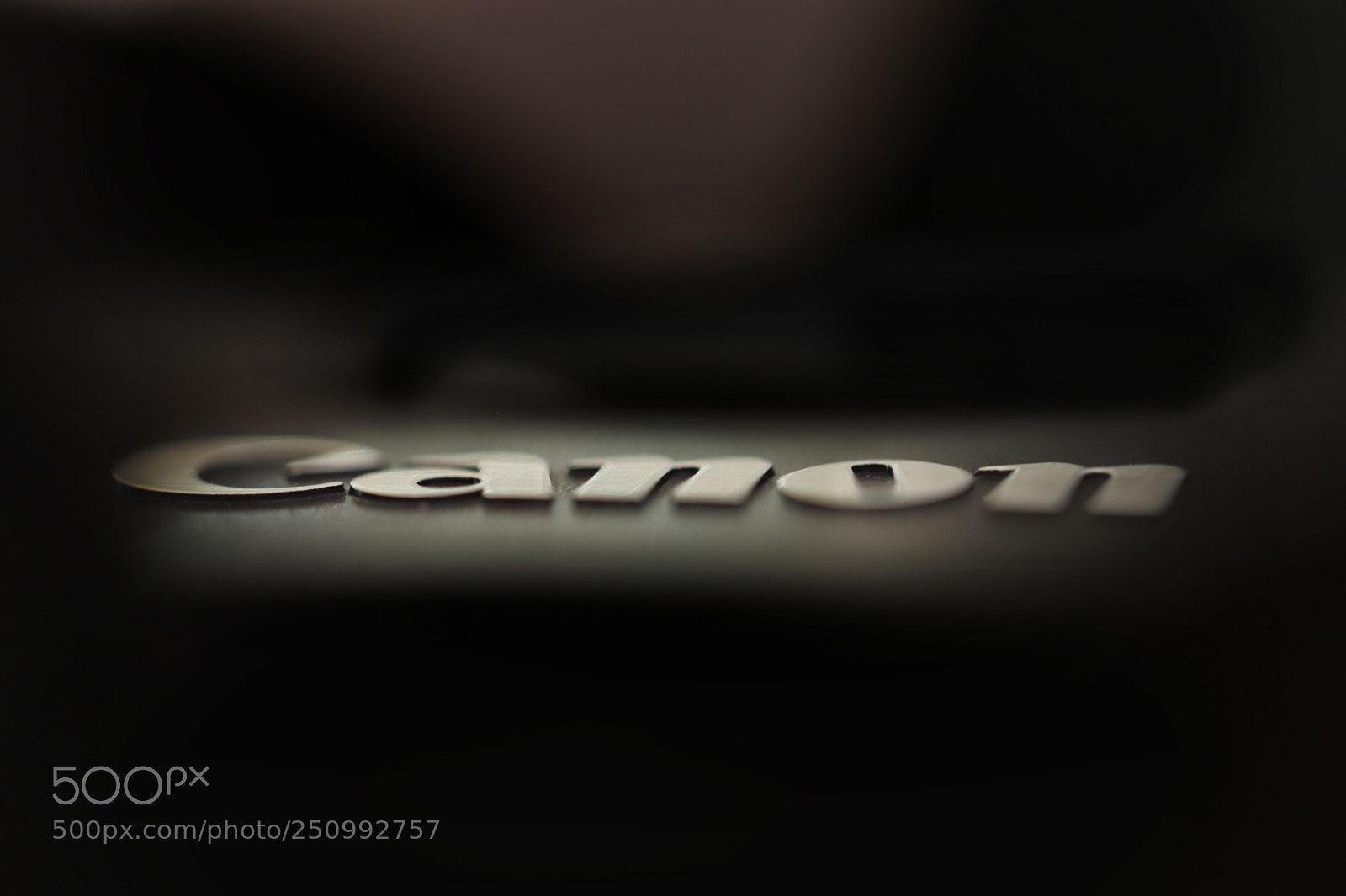 Canon EOS 6D Mark II sample photo. Untitled photography
