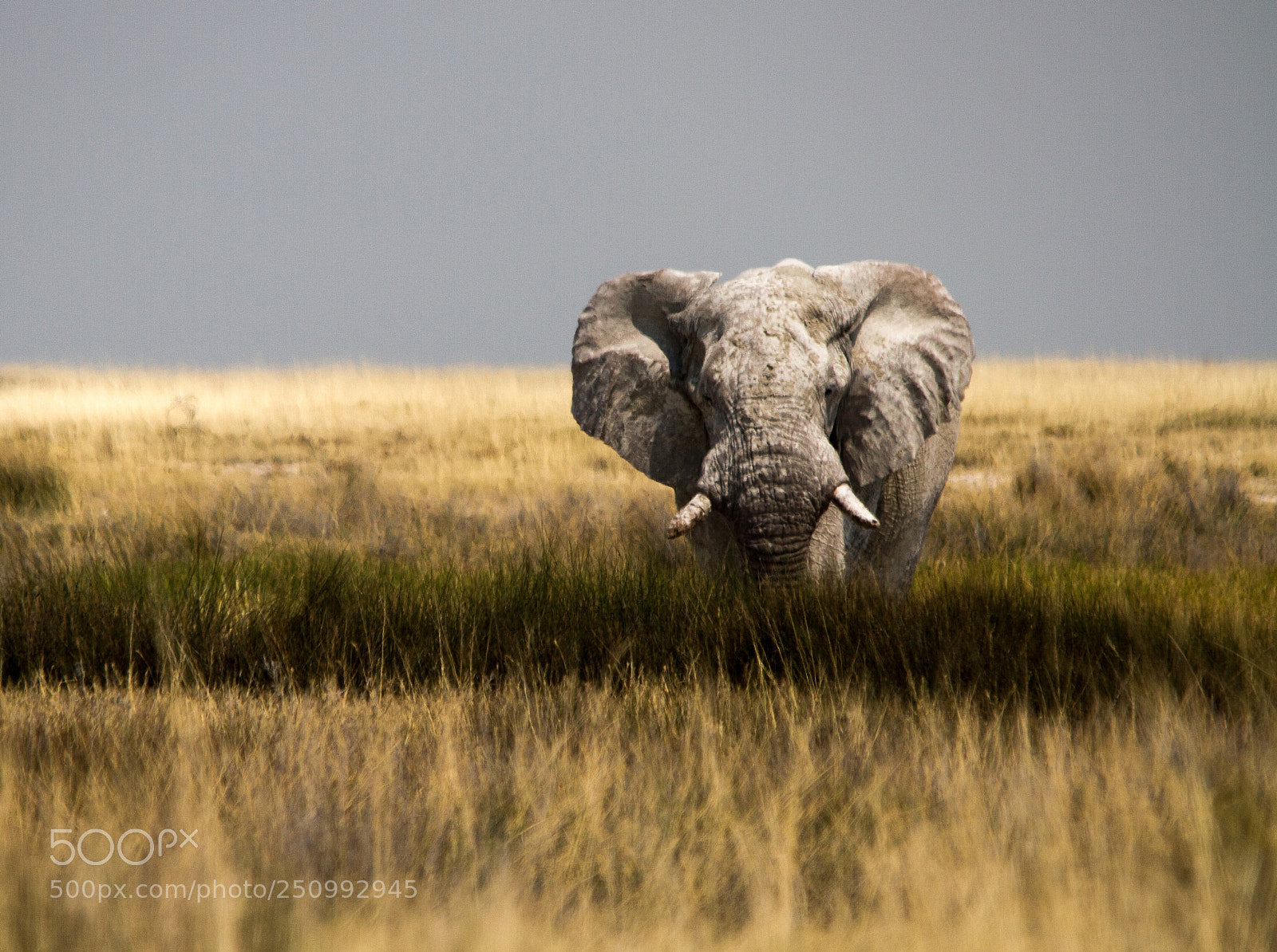 Canon EOS 7D sample photo. Herman van zyl photography