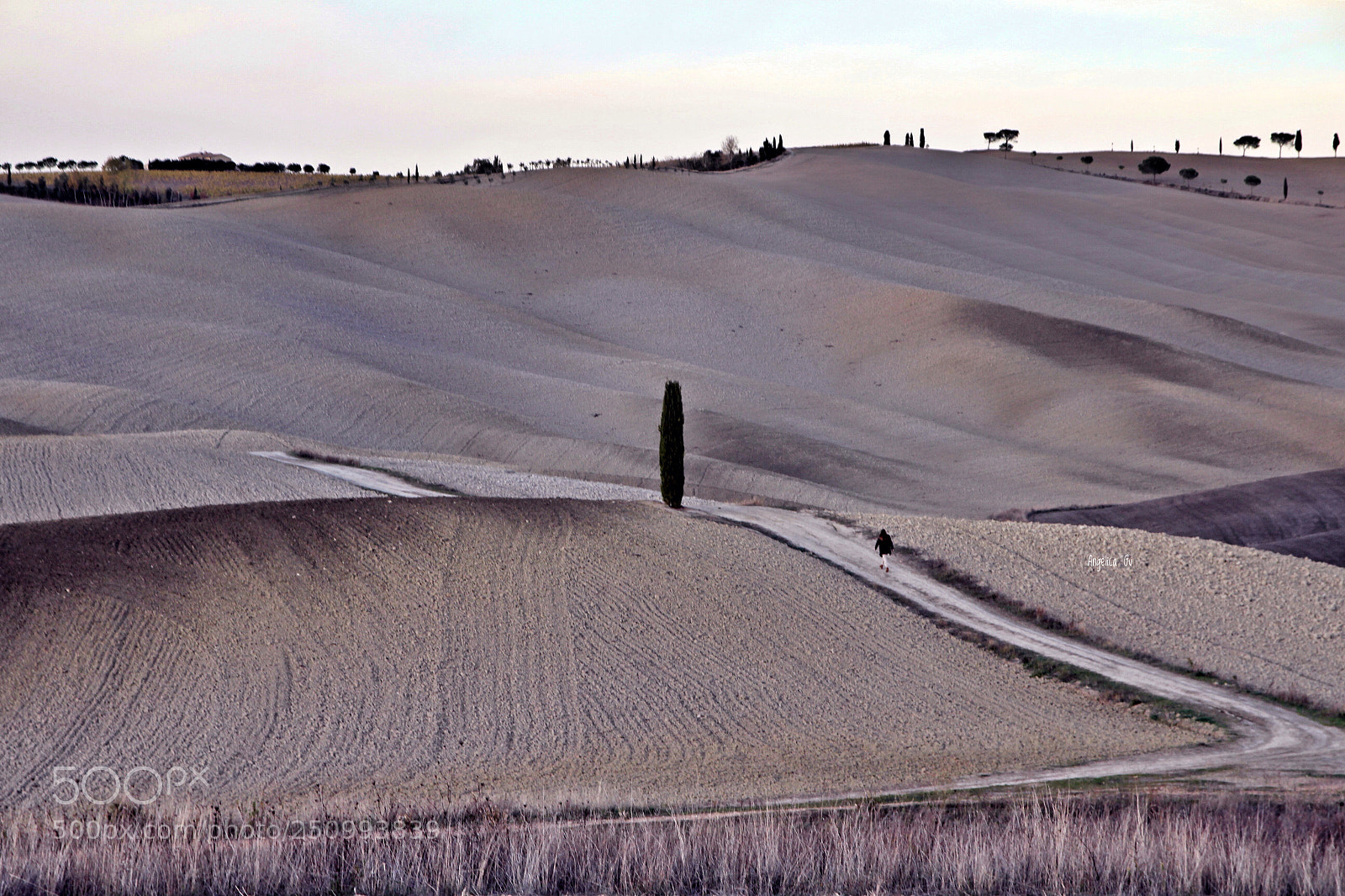 Canon EOS 600D (Rebel EOS T3i / EOS Kiss X5) sample photo. Val d'orcia, toscana photography