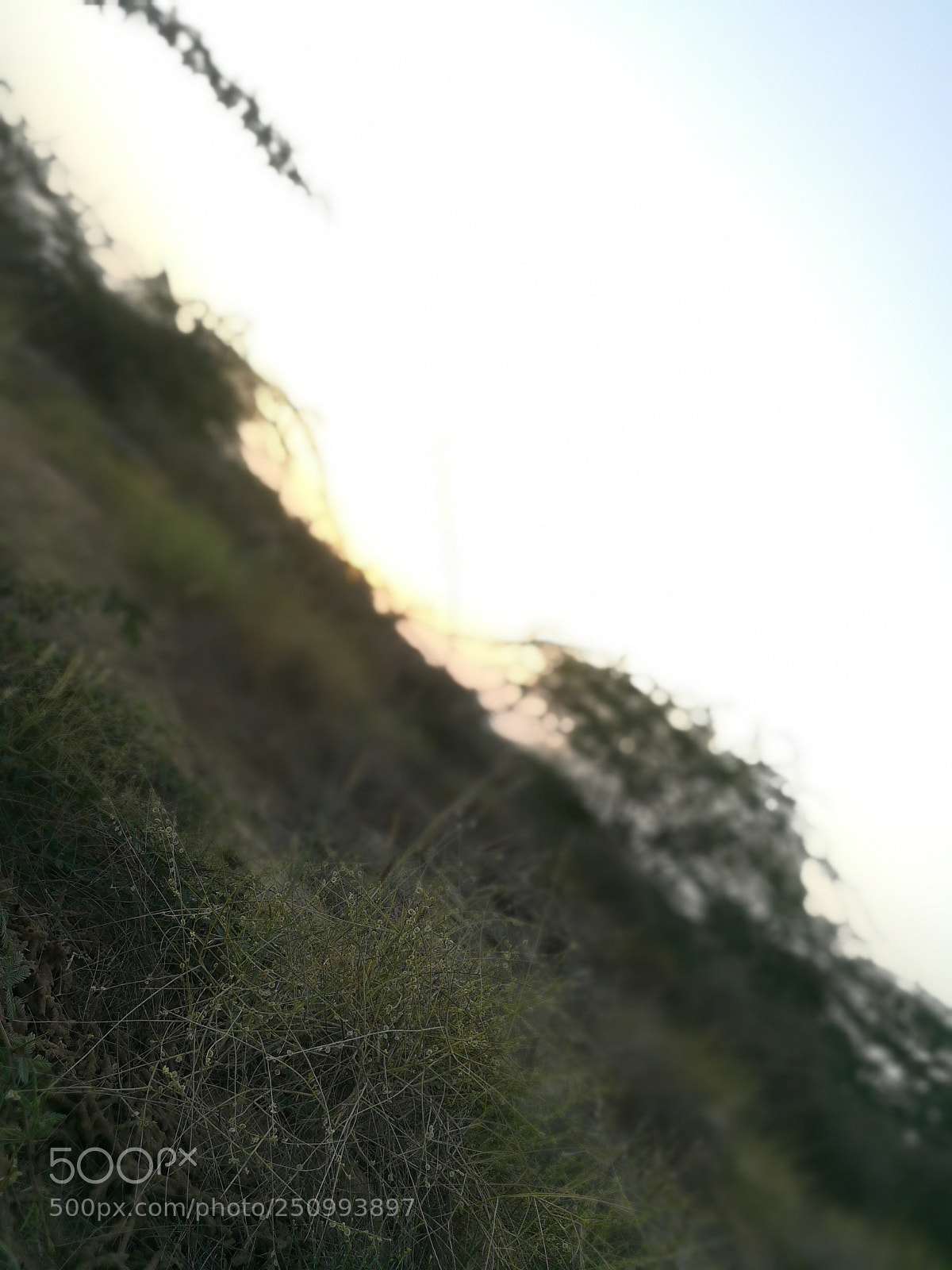 HUAWEI honor 6x sample photo. Untitled photography