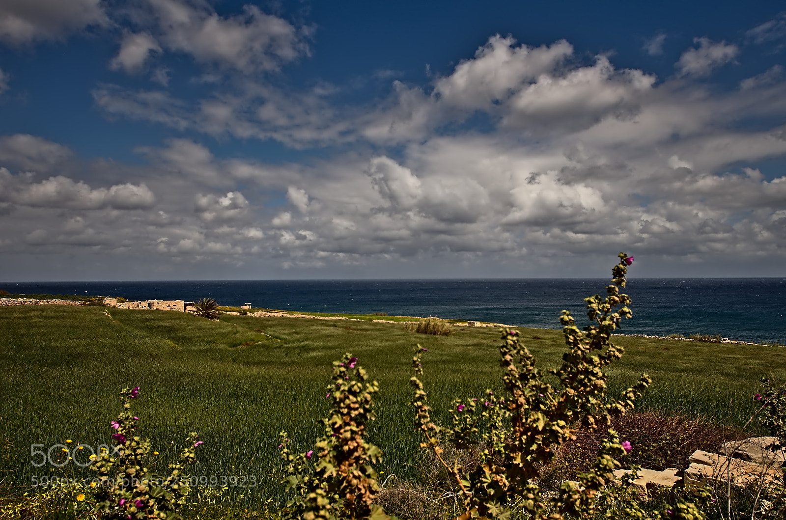 Pentax K-5 sample photo. Backland photography