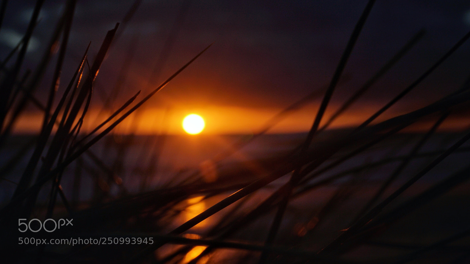Sony a6300 sample photo. Untitled photography