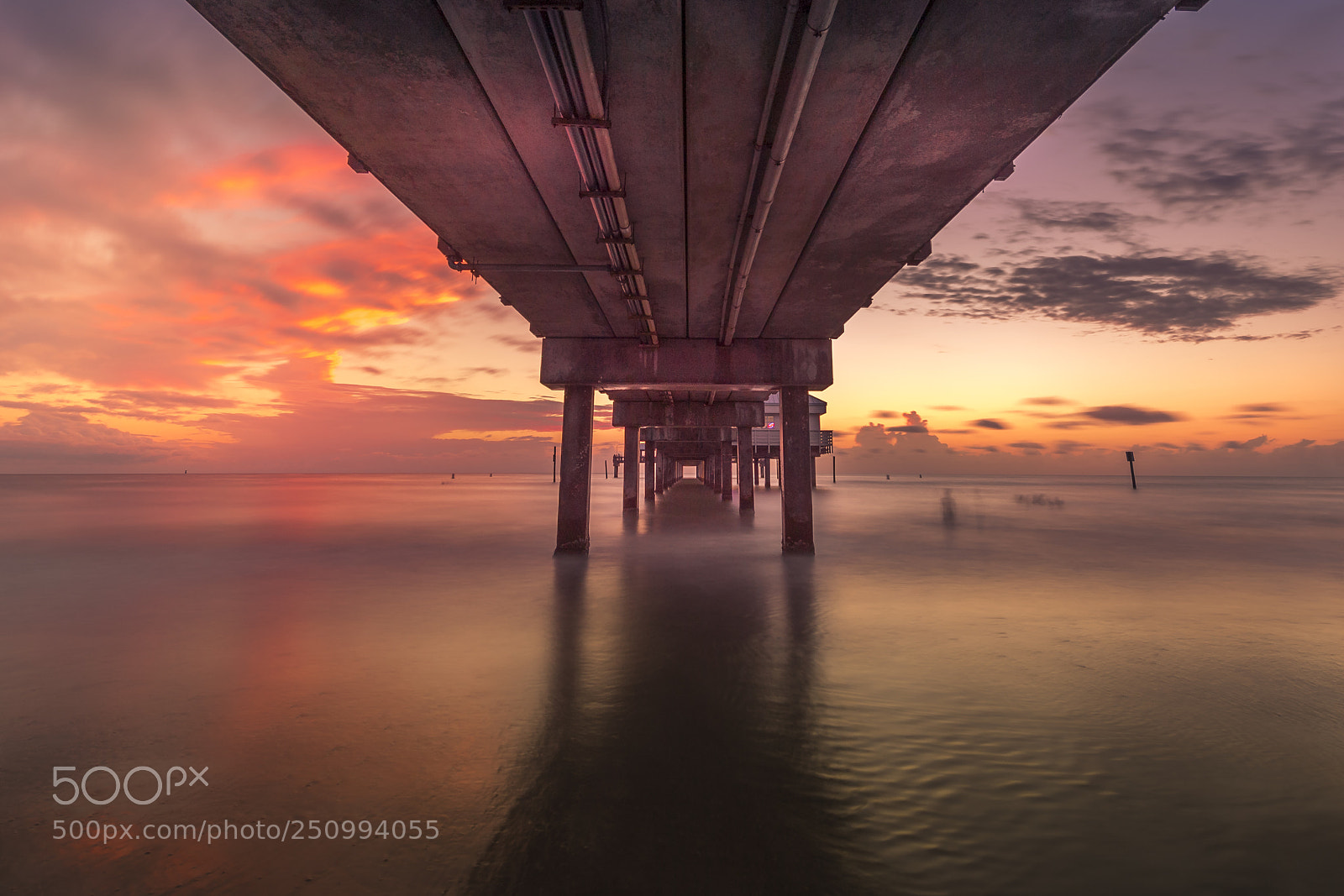 Nikon D5 sample photo. Sunset at clearwater florida photography