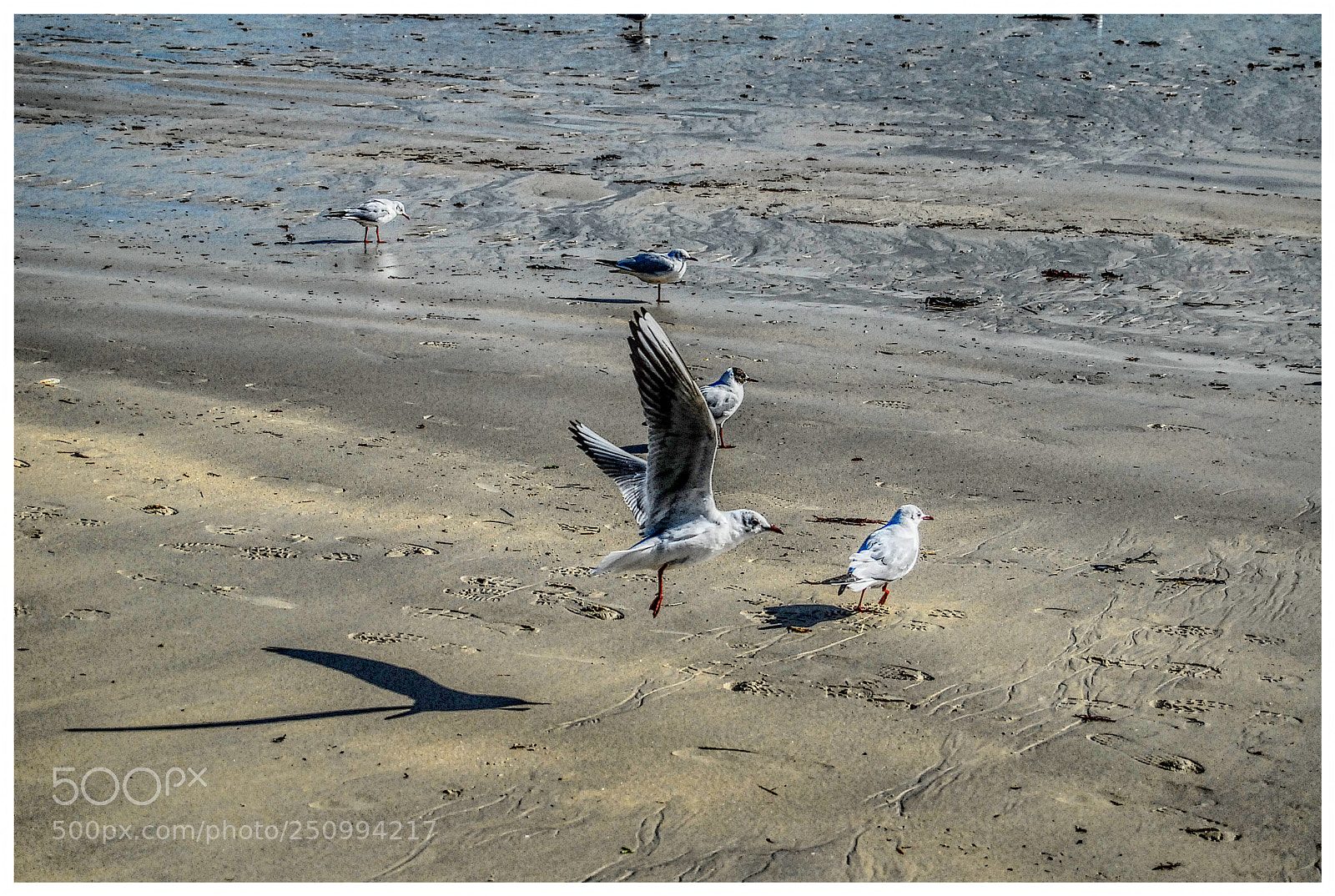 Nikon D200 sample photo. The shadow photography