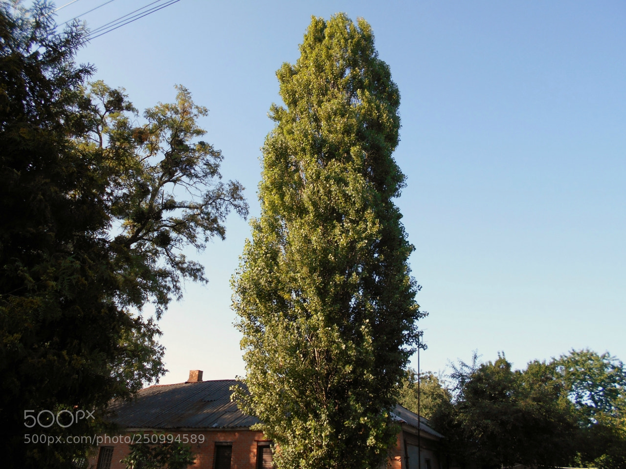 Nikon Coolpix A100 sample photo. Decbbborig photography