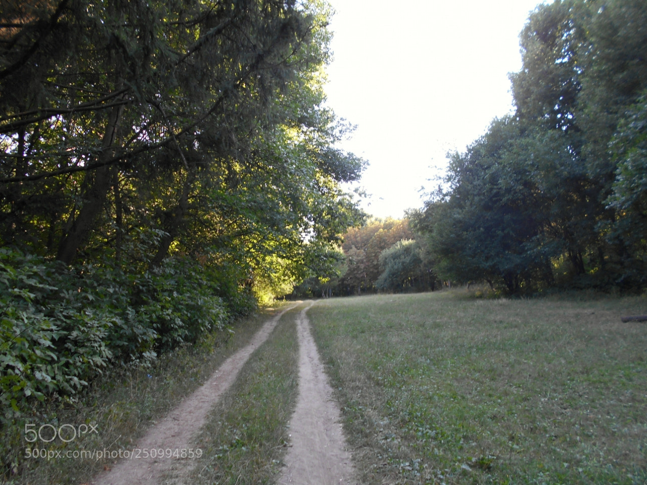 Nikon Coolpix A100 sample photo. Deaorig photography