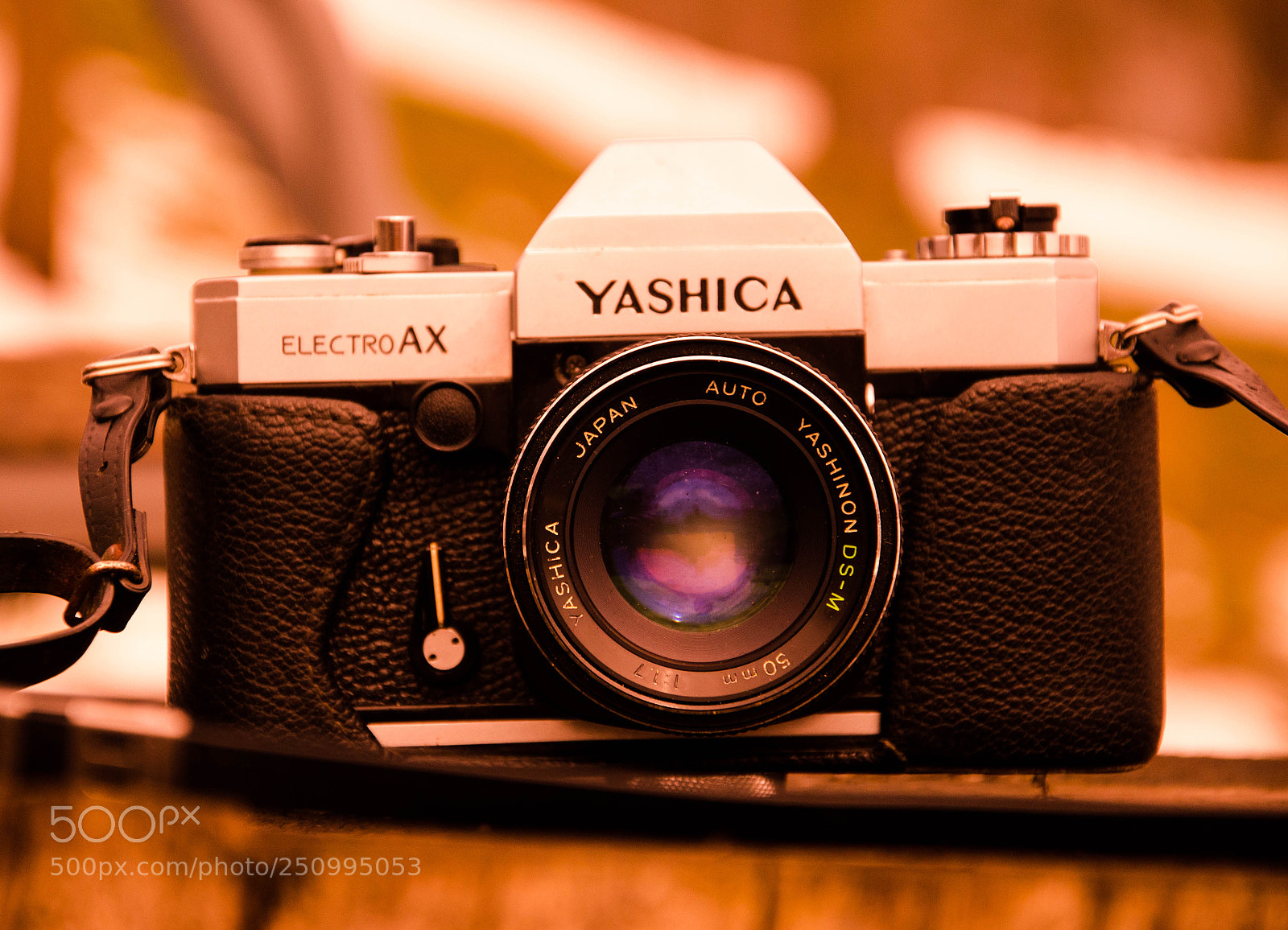 Nikon D5100 sample photo. Yashica photography