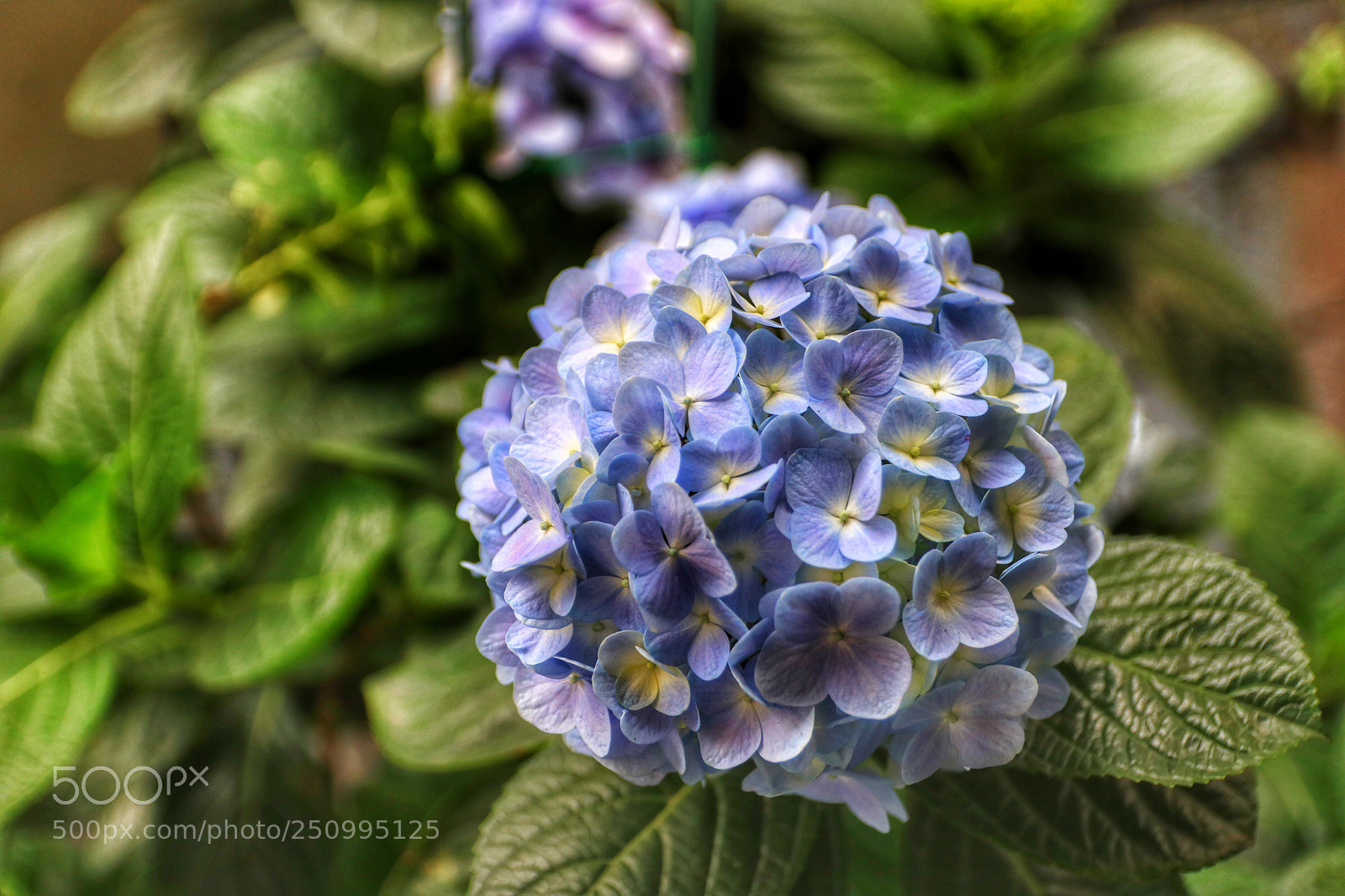 Canon EOS 750D (EOS Rebel T6i / EOS Kiss X8i) sample photo. C m t c photography