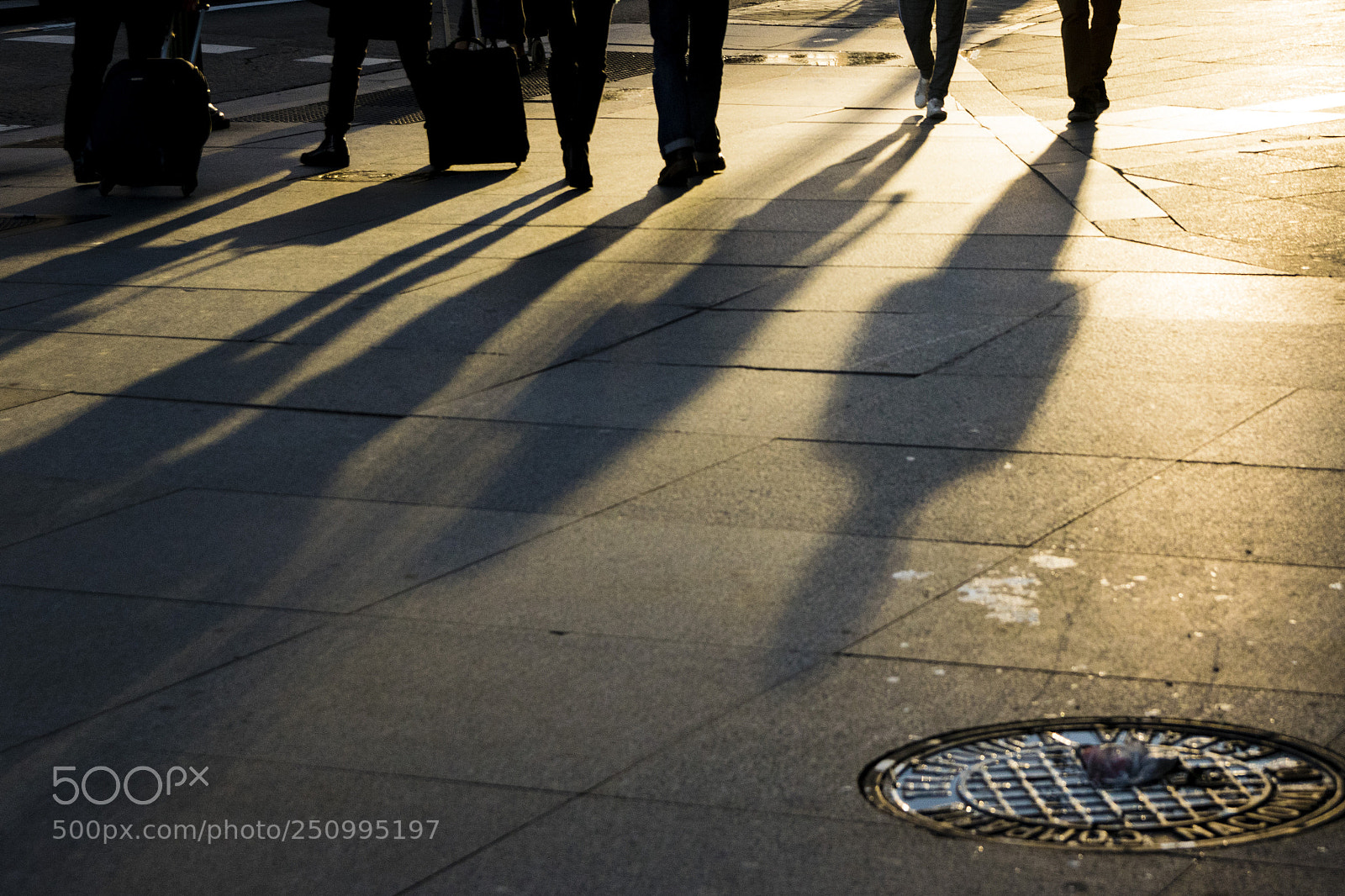 Nikon D3300 sample photo. Wandering shadows photography