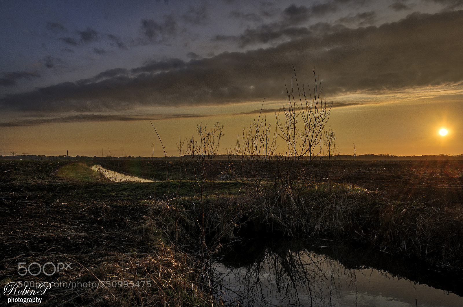 Nikon D5000 sample photo. Sunset in holland photography