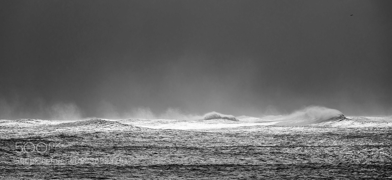 Nikon D7200 sample photo. A mereced del viento. photography