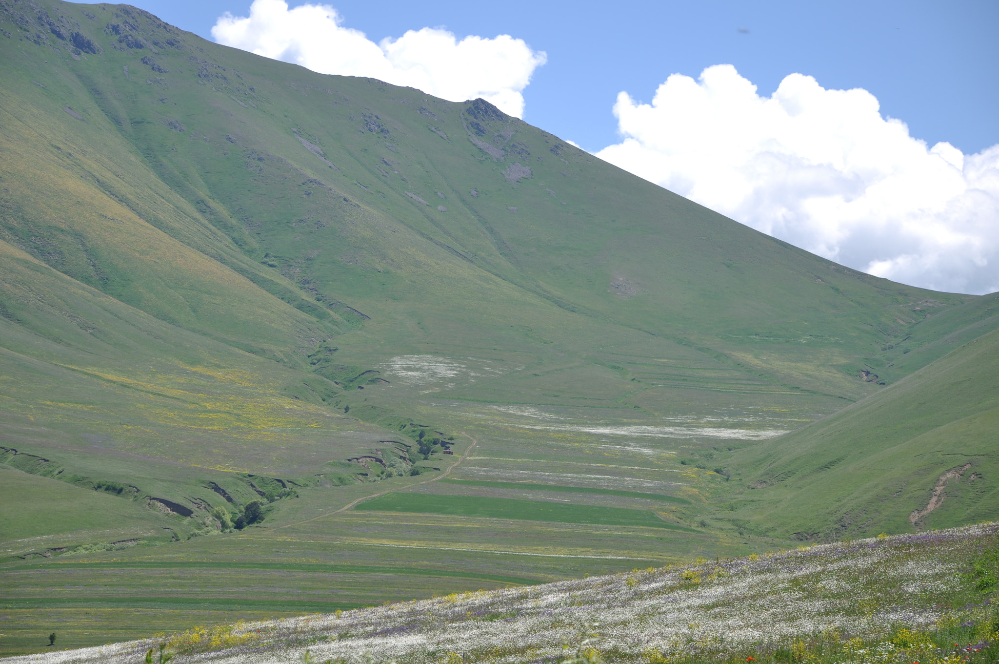 Nikon D5000 sample photo. Mountains,it's spring photography