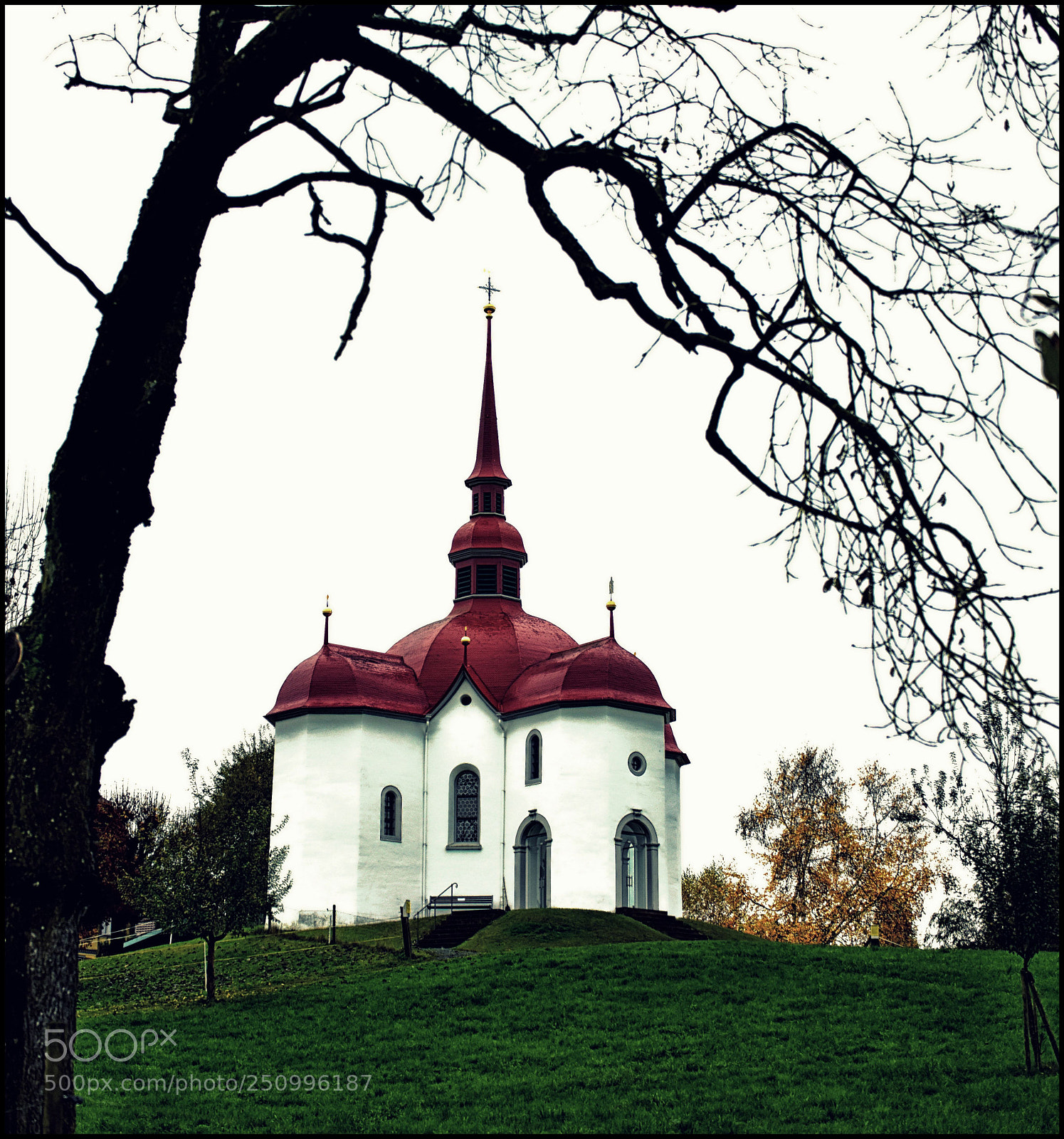 Nikon D810 sample photo. A u t u photography