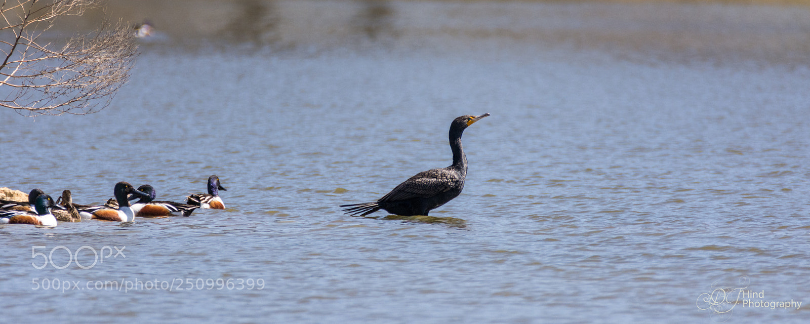Nikon D7200 sample photo. What time is it photography