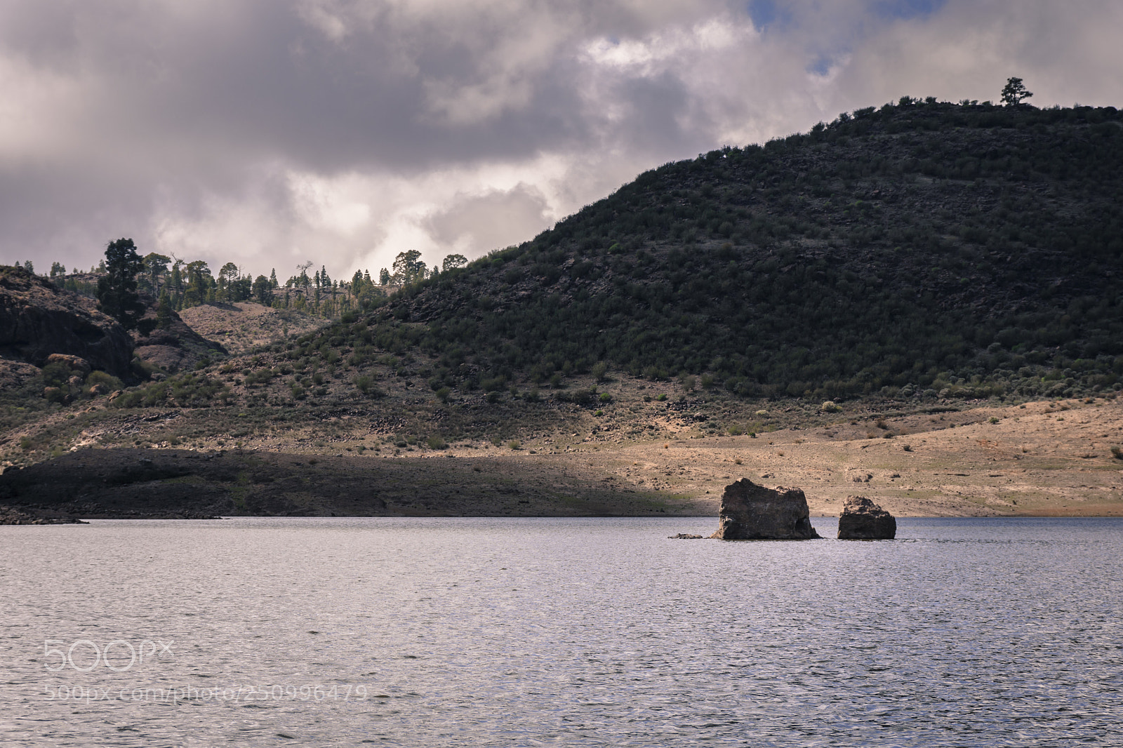 Nikon D7200 sample photo. Presa de las ni photography