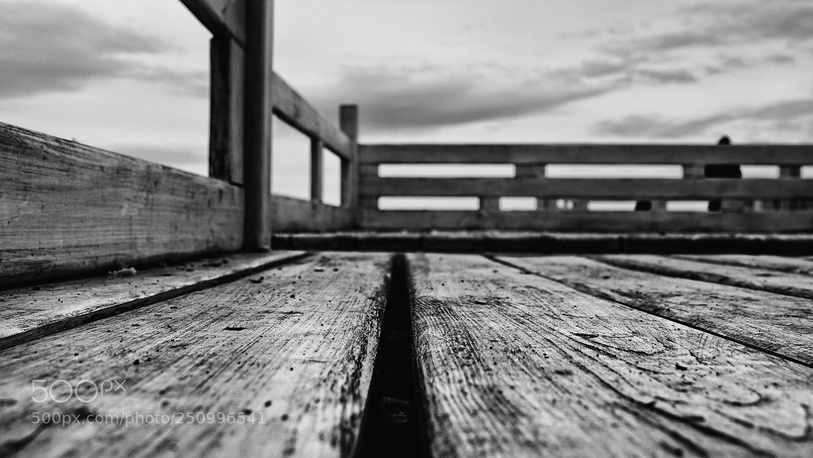 Sony Cyber-shot DSC-RX10 III sample photo. Black and white world photography