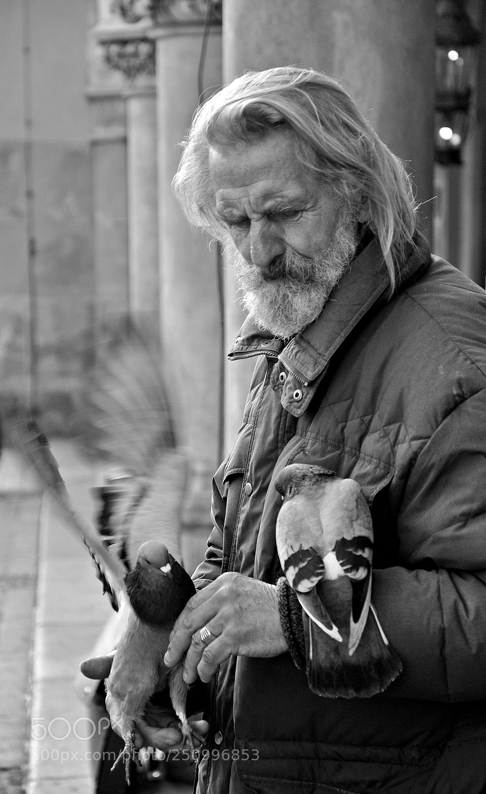 Nikon D90 sample photo. Untitled photography