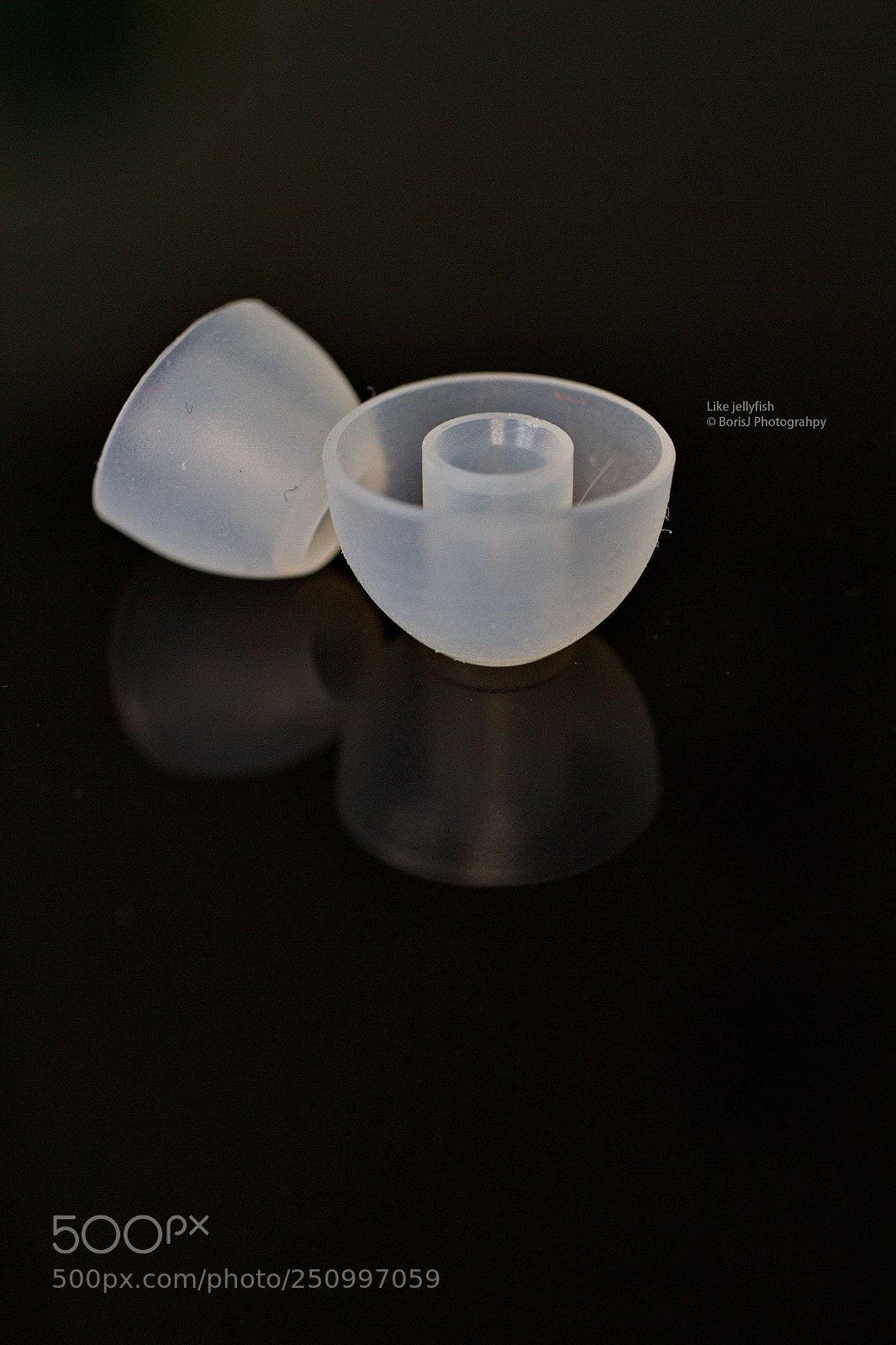 Canon EF-S 35mm F2.8 Macro IS STM sample photo. Like jellyfish photography