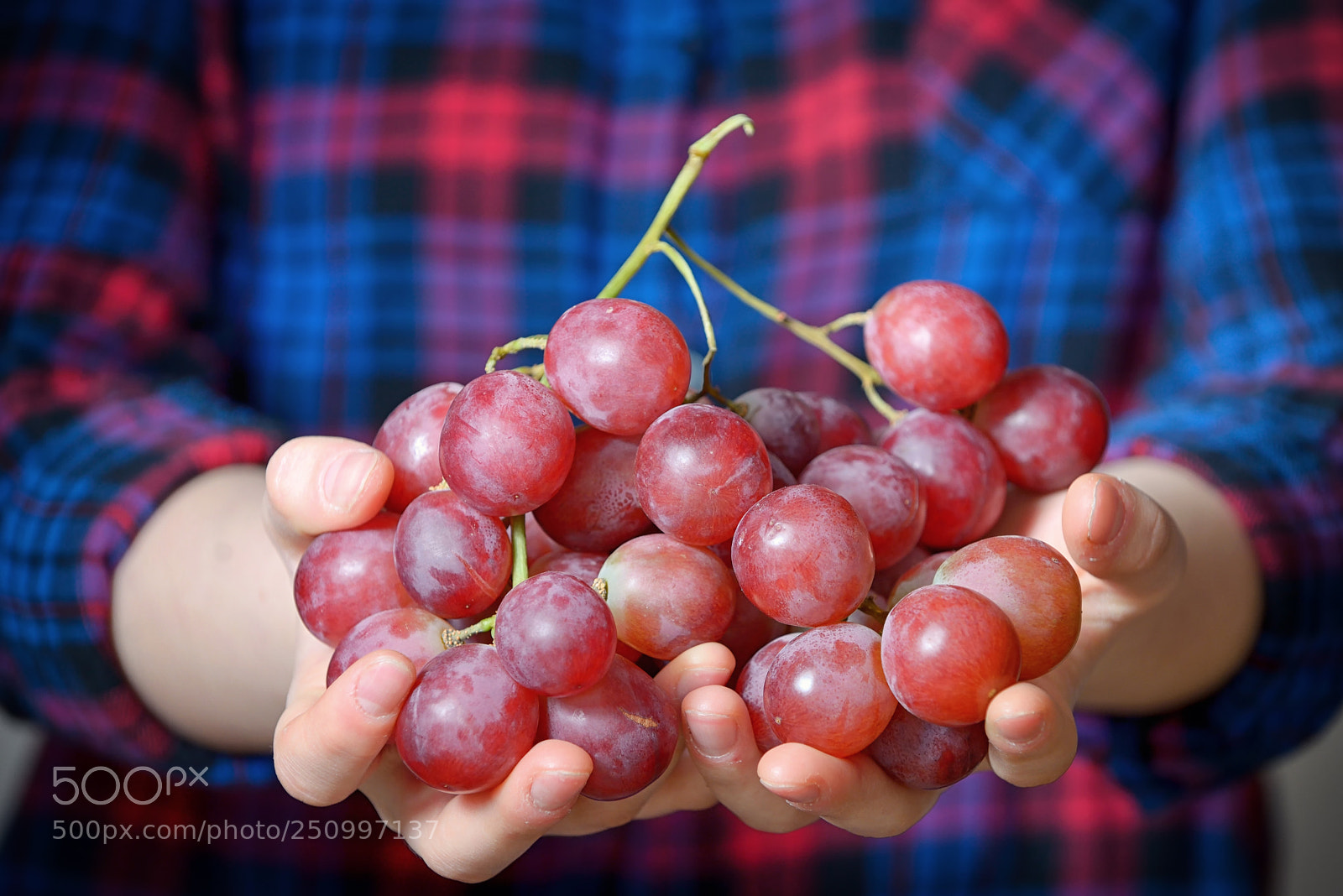 Nikon D610 sample photo. Young woman holding grapes photography