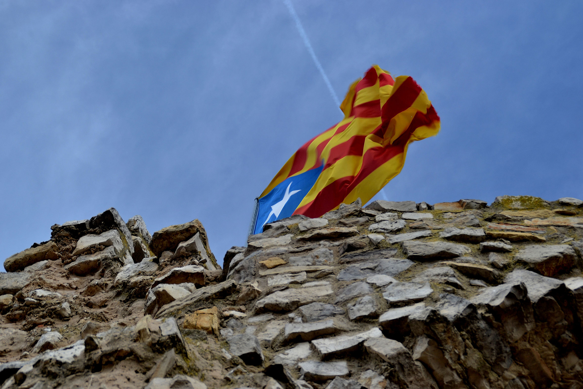 Nikon D3100 sample photo. Llibertat. photography