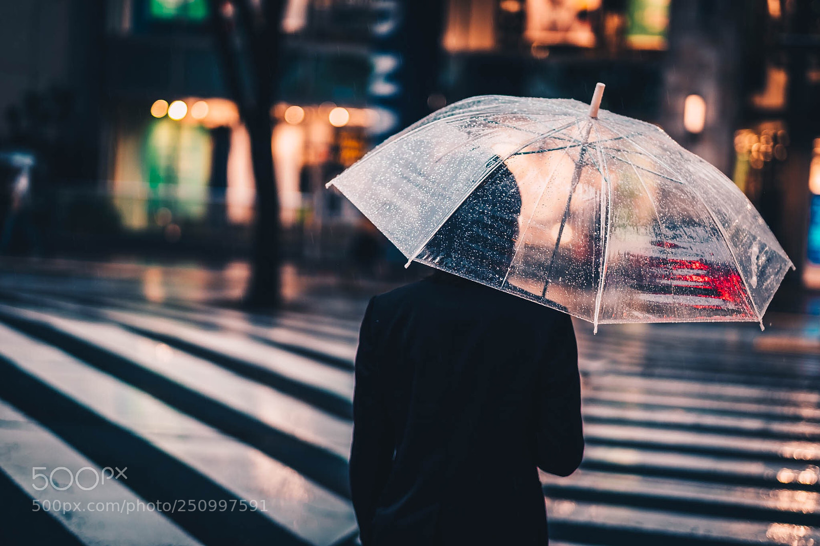 Fujifilm X-T10 sample photo. Untitled photography
