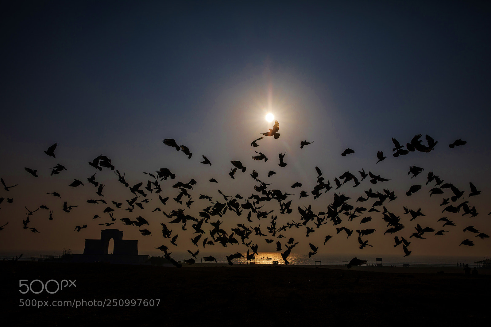 Canon EOS 5D Mark IV sample photo. In search of freedom photography