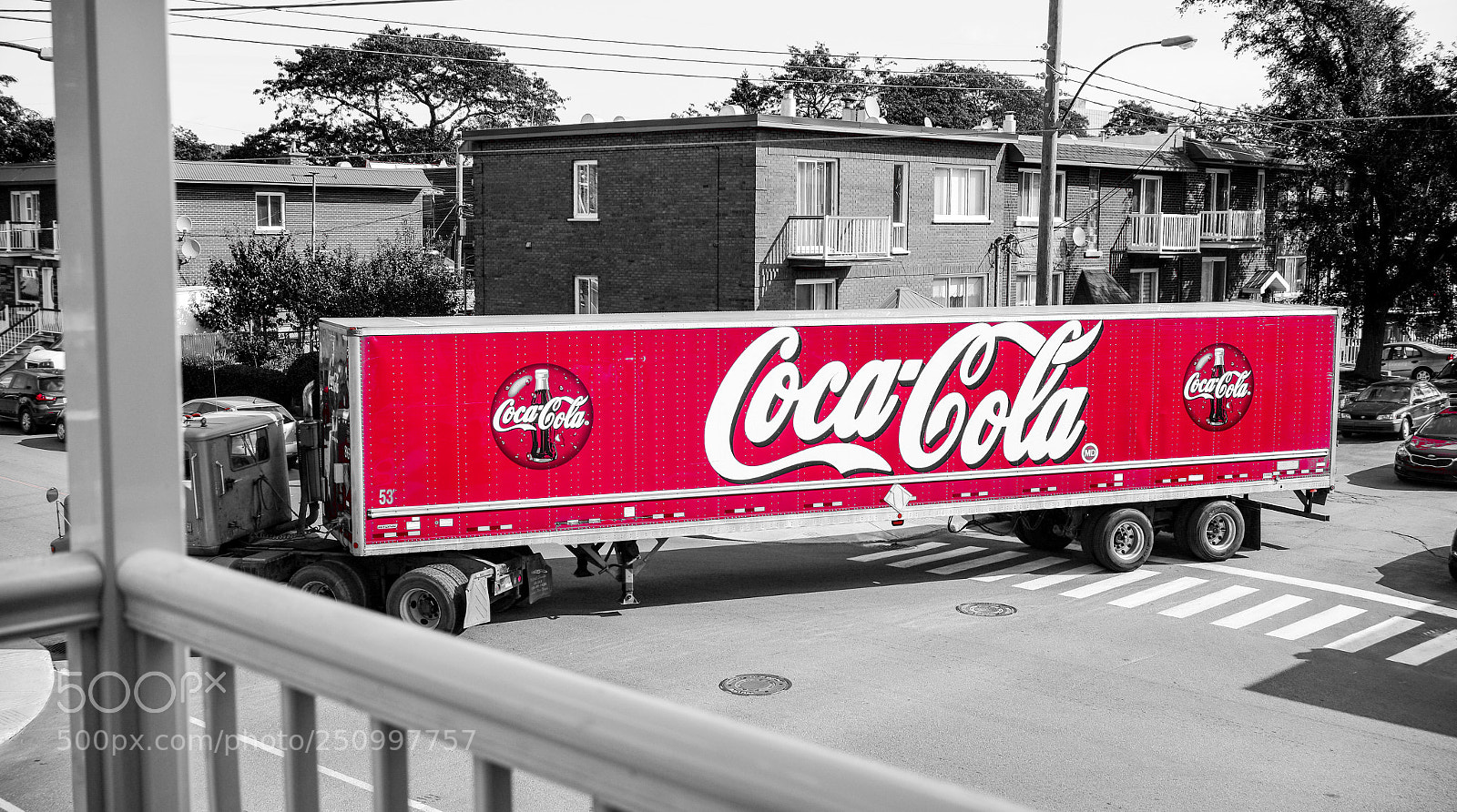 Nikon D600 sample photo. Big red photography