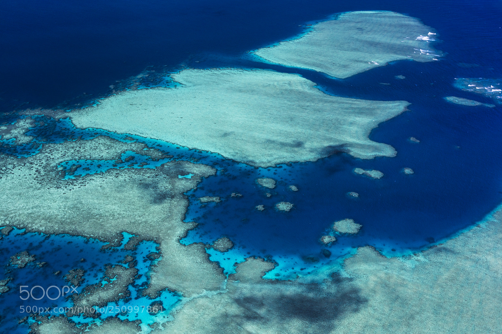 Canon EOS 5DS sample photo. Coral reef - mayotte photography