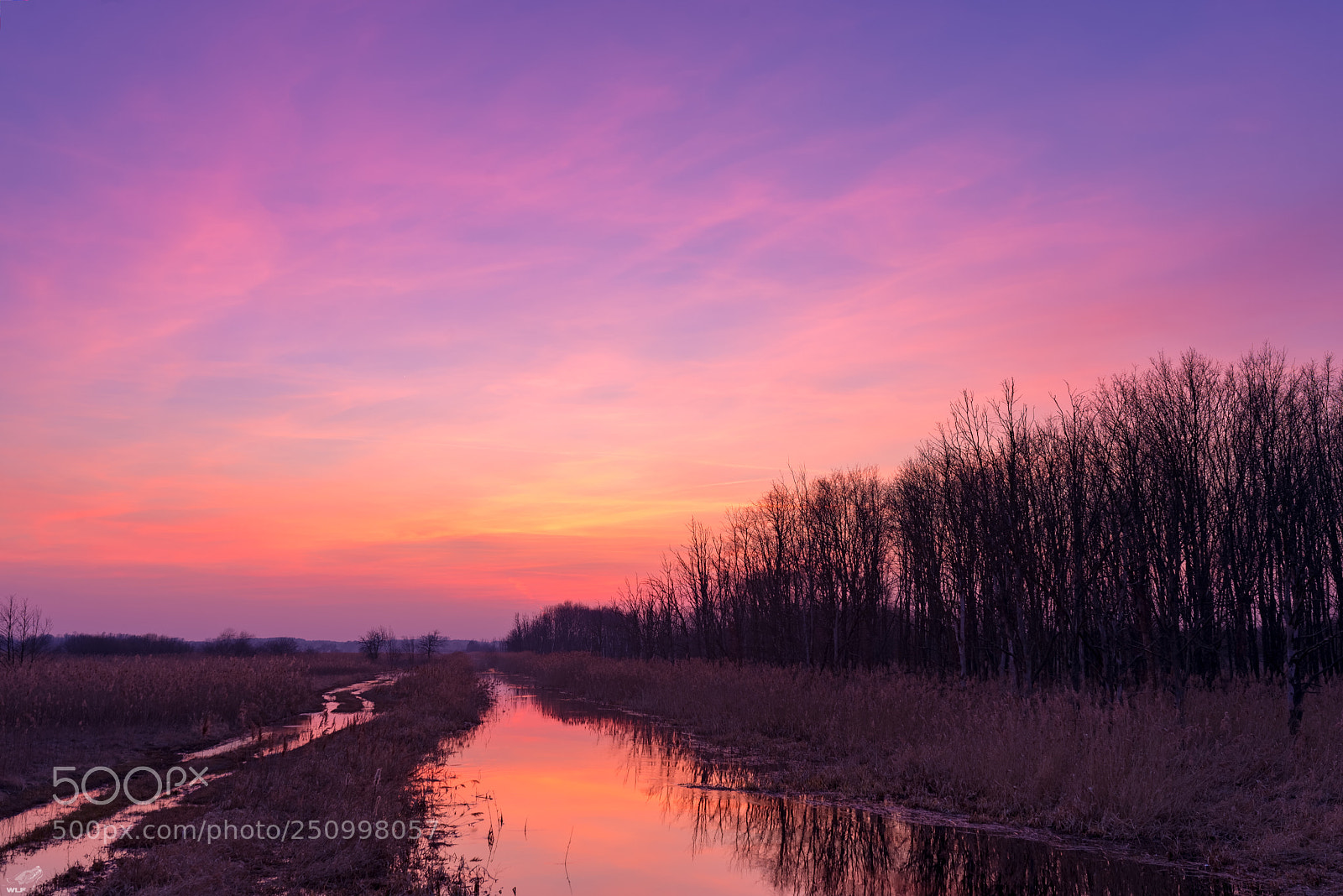 Nikon D610 sample photo. Lasica channel after sundown photography