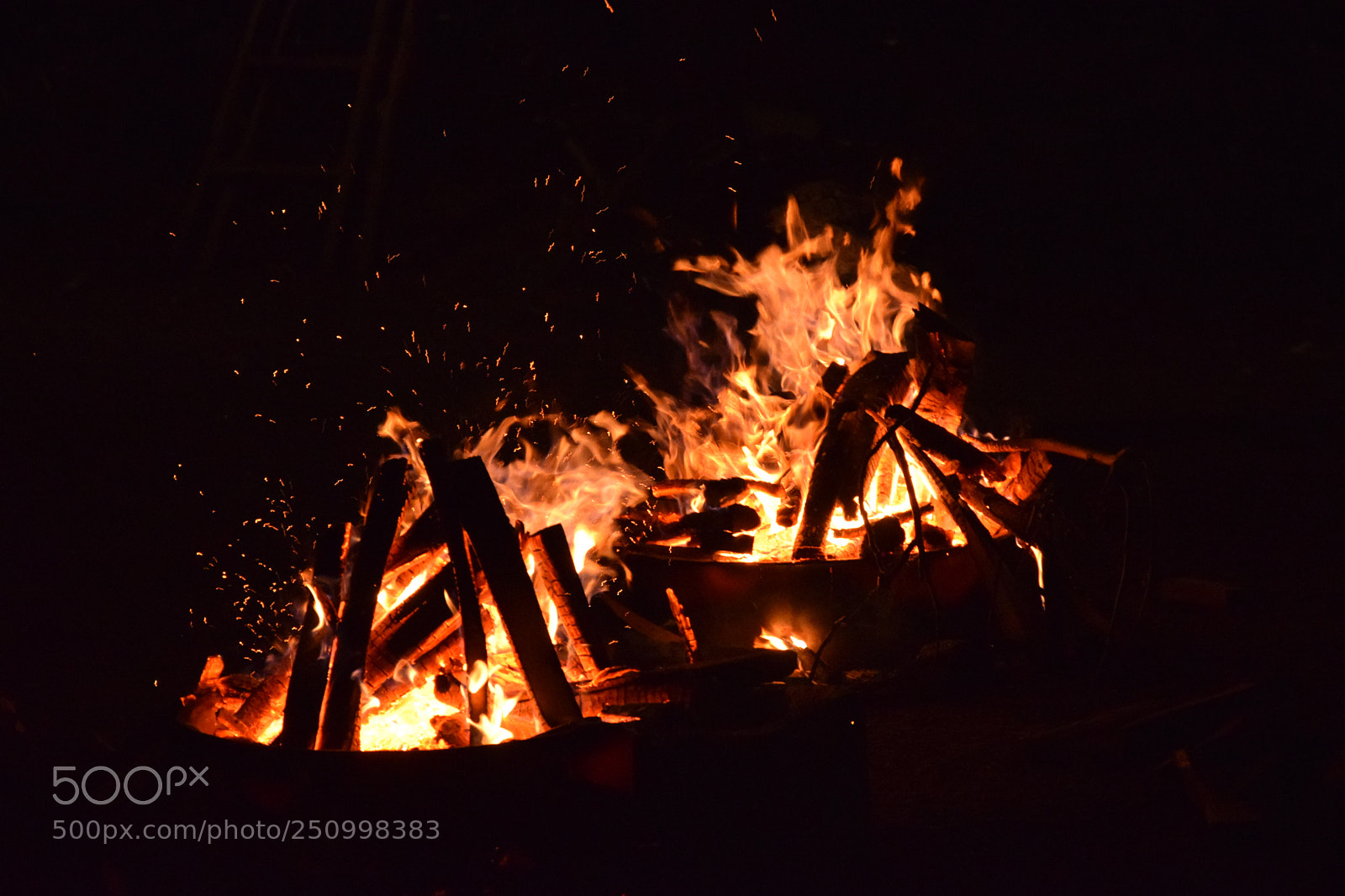 Nikon D3300 sample photo. Untitled photography