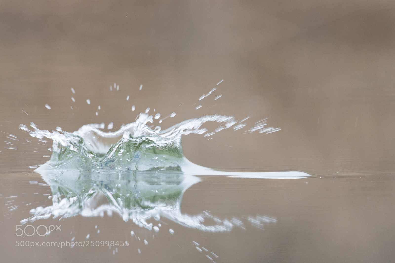 Nikon D7200 sample photo. Kingfisher photography