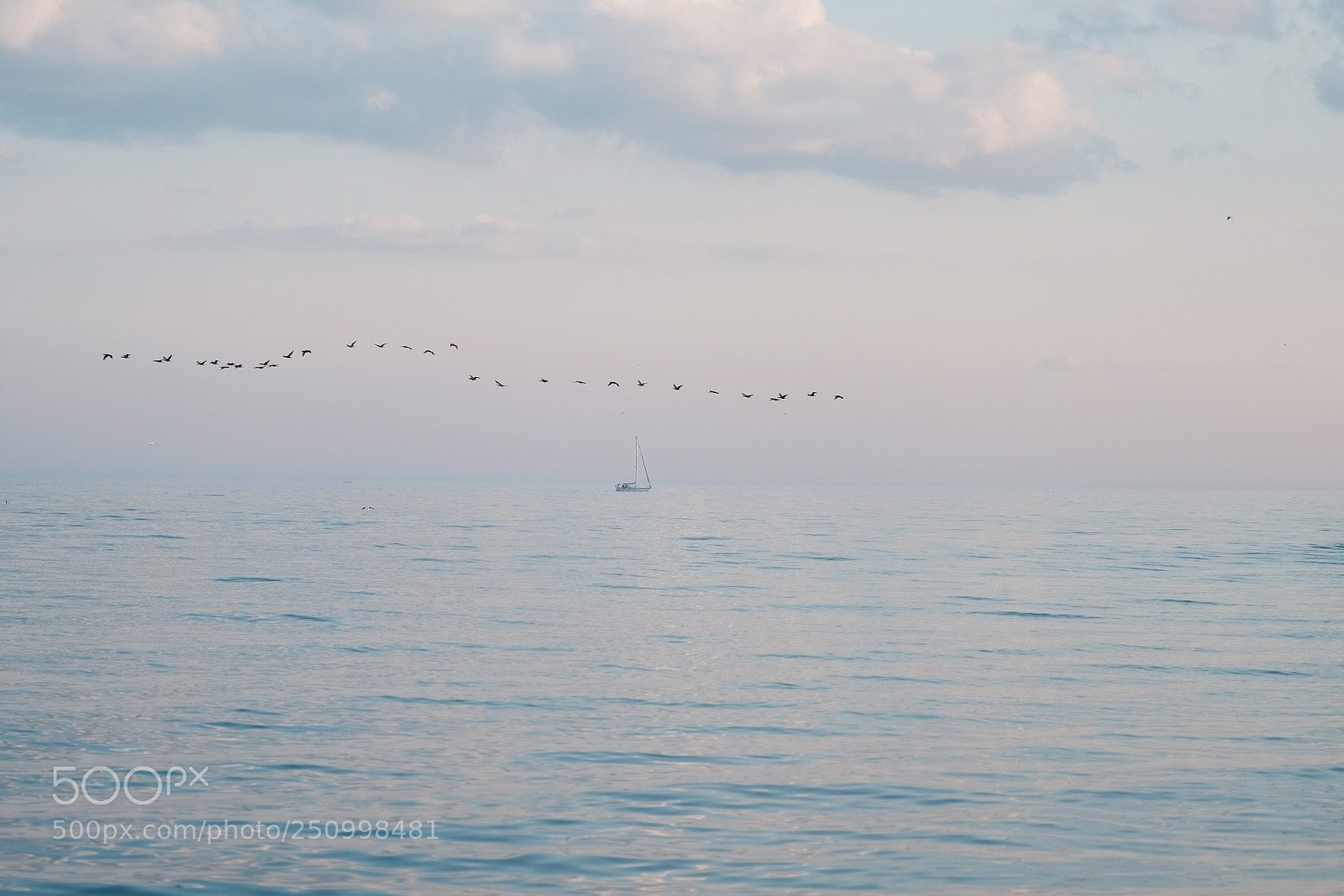 Fujifilm X-T2 sample photo. Untitled photography