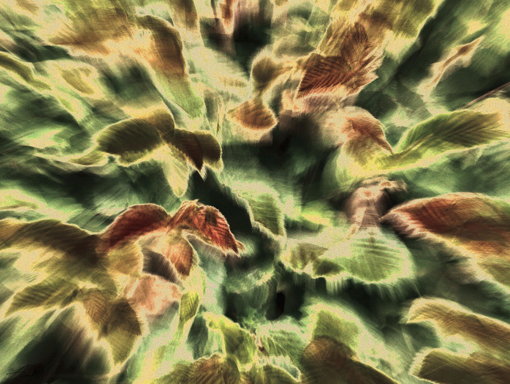 Olympus PEN E-PL1 sample photo. Leaf art photography