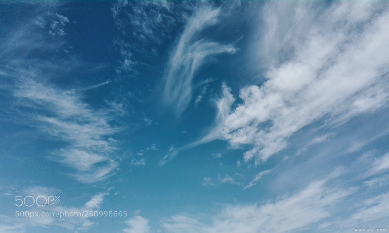 HUAWEI P8 Lite sample photo. Freedom photography