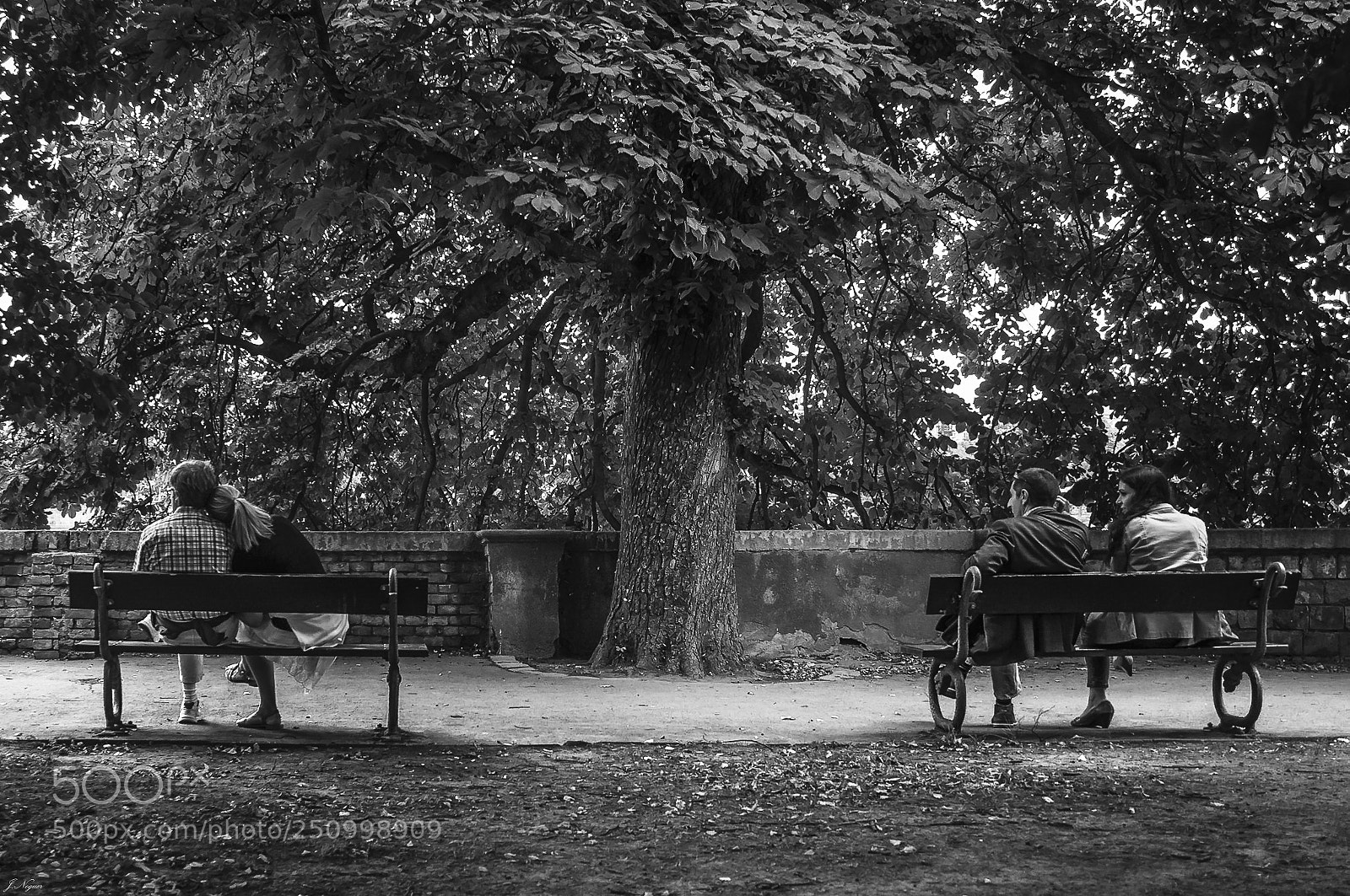 Sony Alpha NEX-3N sample photo. Dos historias photography